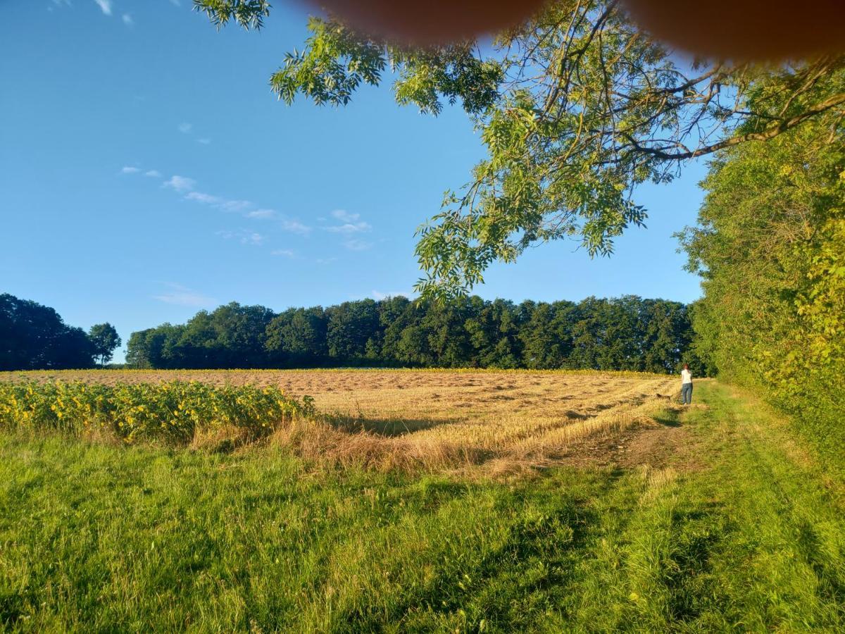 Haus Ringgau - Urlaub, Gemeinschaft Und Erlebnis Im Herzen Von Deutschland Herleshausen Eksteriør bilde