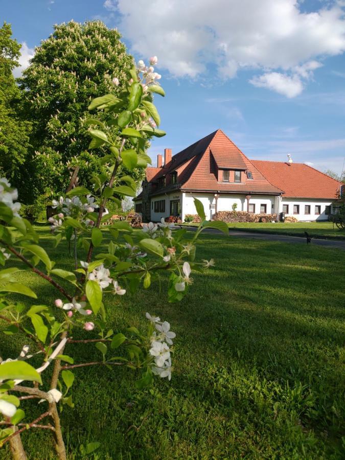 Haus Ringgau - Urlaub, Gemeinschaft Und Erlebnis Im Herzen Von Deutschland Herleshausen Eksteriør bilde