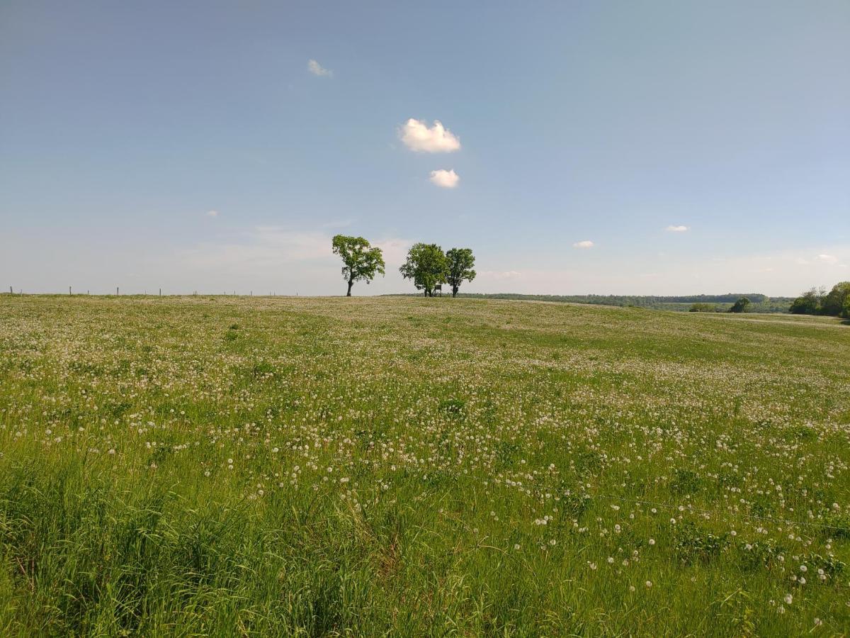 Haus Ringgau - Urlaub, Gemeinschaft Und Erlebnis Im Herzen Von Deutschland Herleshausen Eksteriør bilde