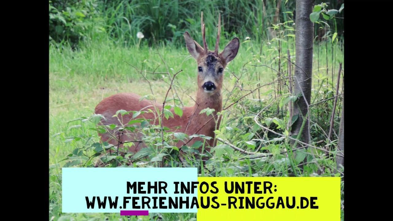 Haus Ringgau - Urlaub, Gemeinschaft Und Erlebnis Im Herzen Von Deutschland Herleshausen Eksteriør bilde